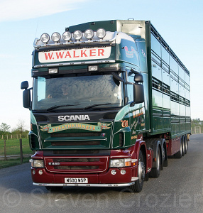 Walker W500WSP-(2)