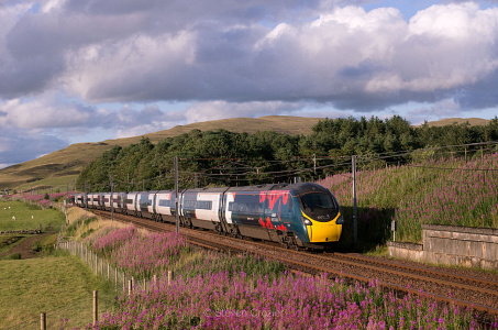 390151 Wandel 300726