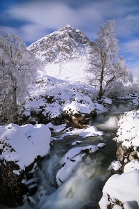 Snowy Buachaille
