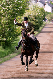Hawick Common Riding 2022