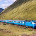 43049/055 County March 200825