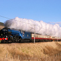 60532 Wandel 301125