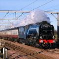 60532 Metal-Bridge 301125