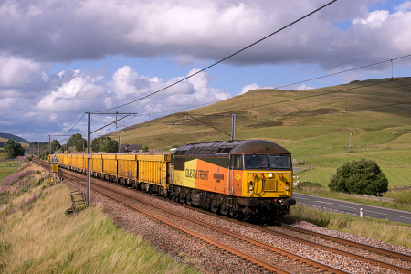 56049 Wandel 300726